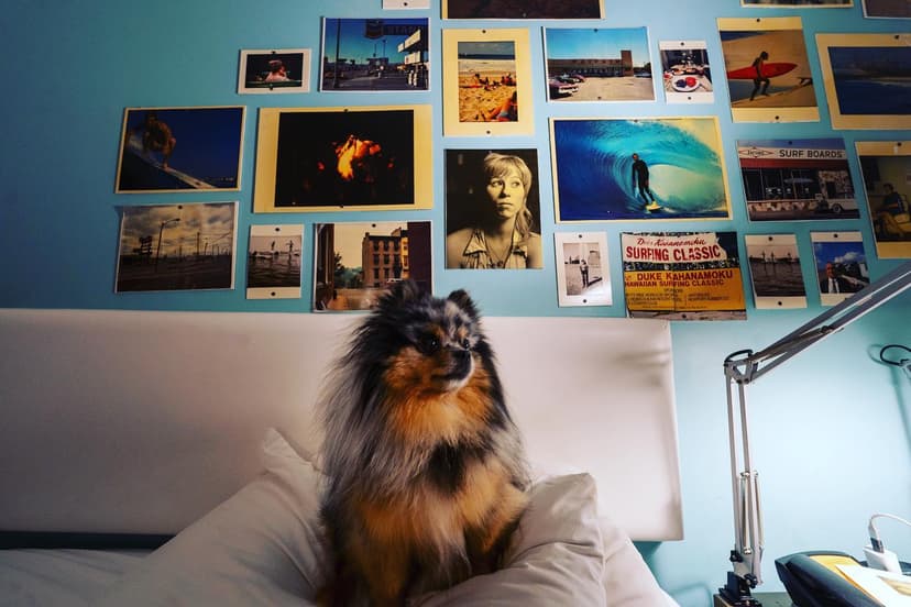Postcard Inn on the Beach Featured Image