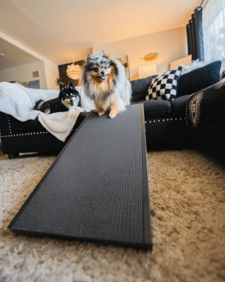 Doggo Ramp Featured Image